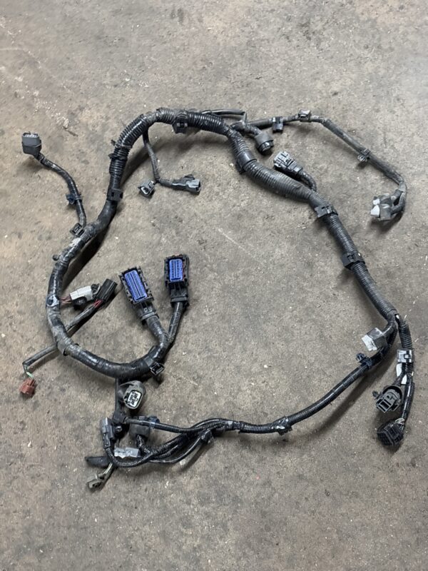 Wiring Harness