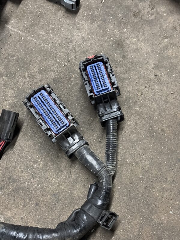 Wiring Harness - Image 6