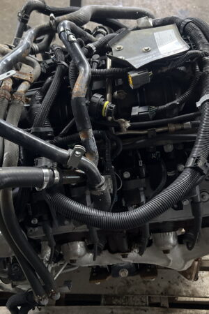 Engine Motor 6.0L ISUZU NPR HD Gas 2019 OEM 812553399 12680606