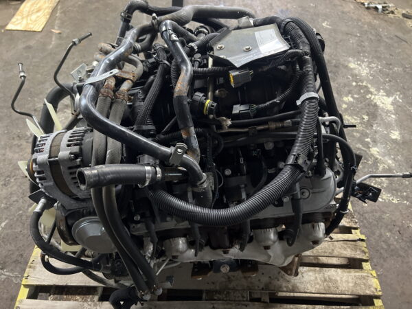 Engine Motor 6.0L ISUZU NPR HD Gas 2019 OEM 812553399 12680606