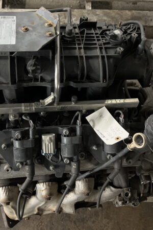 Engine Motor 6.0L ISUZU NPR HD 2018 OEM 812553399 12642269