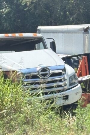 Hood Assembly for Hino l6 2022